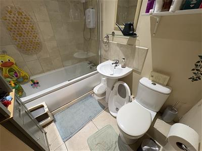 Picture 7